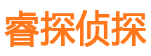 任县市私家侦探